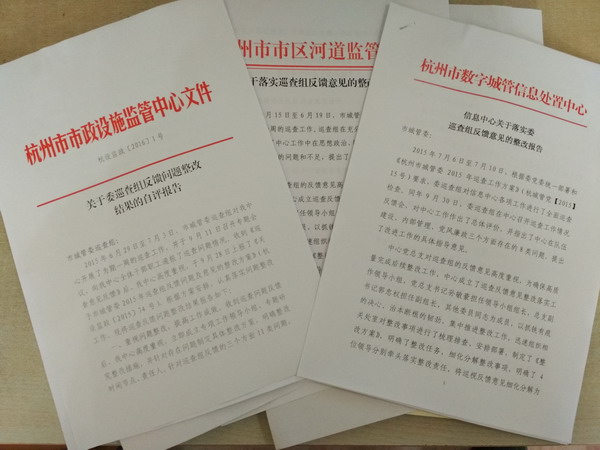 巡视整改落实情况报告 巡查整改落实情况汇报_2018巡视整改报告