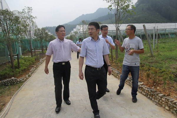 陈擎苍:用纪律这把尺子管住大多数人