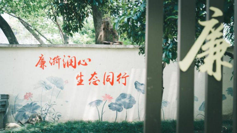 图片12.png