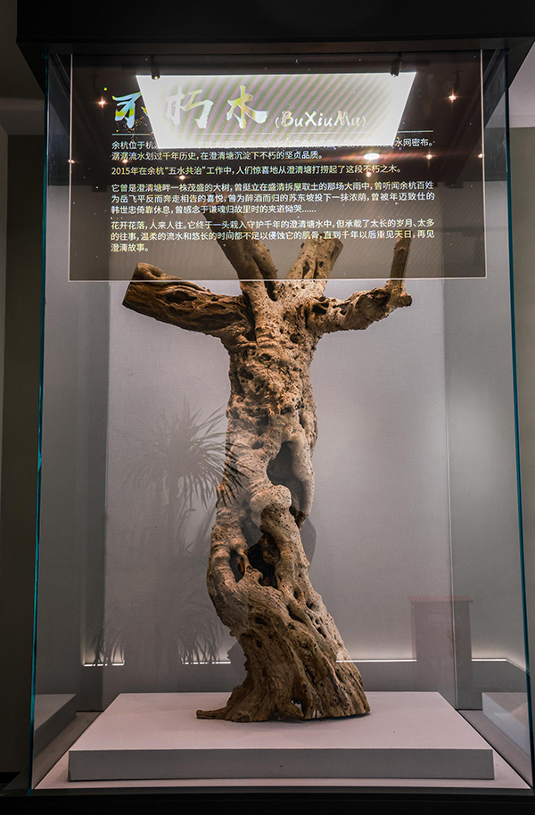 图片44.jpg