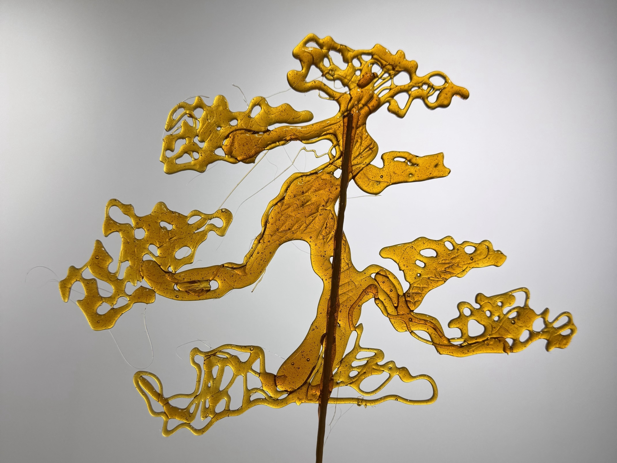 3.《苍松》.jpg