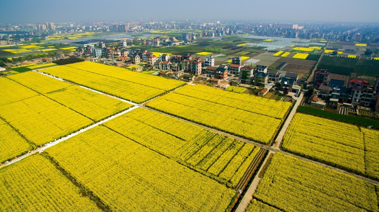 庆丰村.jpg